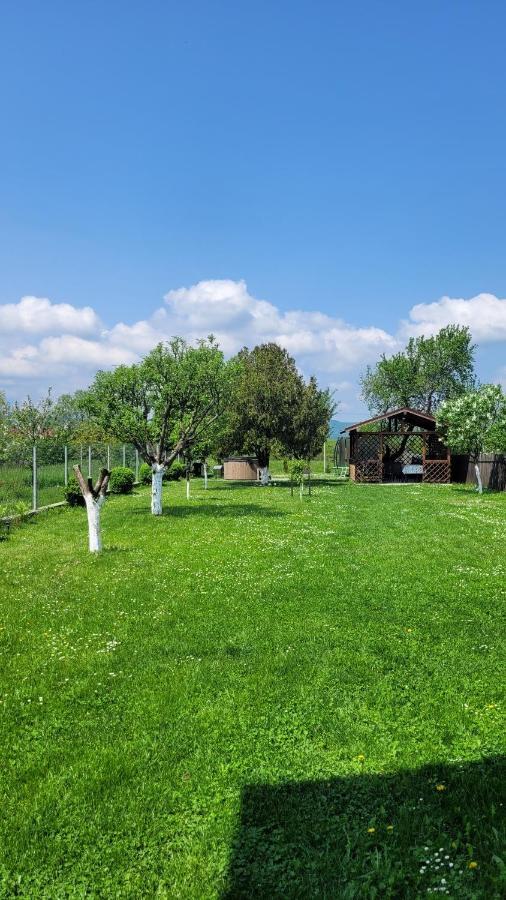 Casa Dana Vila Rîşnov Exterior foto